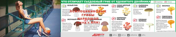 соль ск Алексин