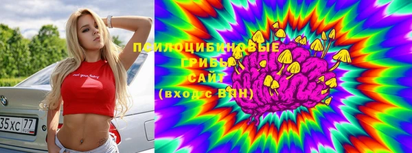 соль ск Алексин